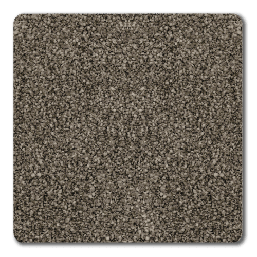 Belmont I Metallic by Newton Farr West, UT Big Carpet